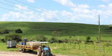 produtores-rurais-do-rj-terao-isencao-de-icms-na-conta-de-luz