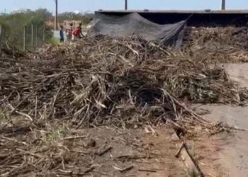 Motorista morre após carreta com cana-de-açúcar tombar na Baixada Campista
