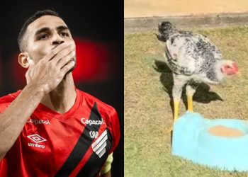 Alan Kardec Athletico Galinha Guilherme Arana Atletico Mg