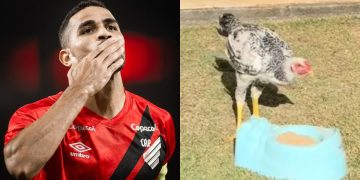 Alan Kardec Athletico Galinha Guilherme Arana Atletico Mg