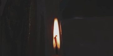 Vela