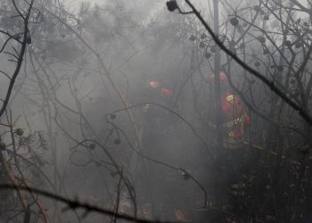 2019 07 21t134323z 1898307389 Rc1d606eb770 Rtrmadp 3 Portugal Wildfires