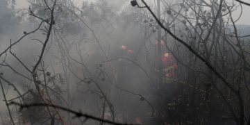 2019 07 21t134323z 1898307389 Rc1d606eb770 Rtrmadp 3 Portugal Wildfires