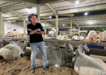 WhatsApp Image 2025 08 09 At 10.58.47 860x591 1