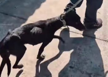 WhatsApp Image 2025 08 15 At 15.59.02