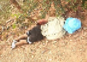 Be288e70 2ee6 4298 A624 48ecb35a01d5