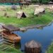 Bioparque Beth 12