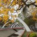 Chegada Da Primavera Fts Carlos Grevi 7 540x360 1