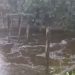 Imagem Do WhatsApp De 2025 09 01 As 12.39.56 45aa8ca3