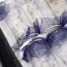 Aedes Wolbachia Wolbito Mc Abr 09092025 10