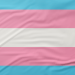 Bandeira Trans