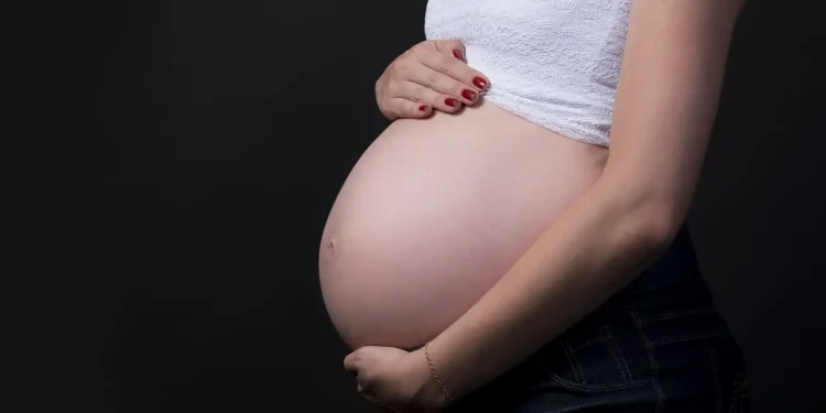 Pregnant 2640994