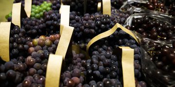 Uva Frutas Supermercado Exportacao De Frutas Abr 20220729 0904