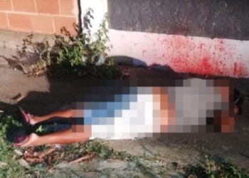 D49b1043 2e53 4ad0 98ad Beb8b2cb5734 429x480 1