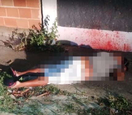 D49b1043 2e53 4ad0 98ad Beb8b2cb5734 429x480 1