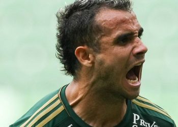 Maikon Leite Aposentadoria Palmeiras