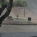 Guerra Nrf