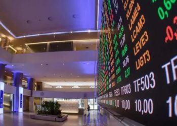 Primeira Previa Da Carteira Do Ibovespa B3 Para Janeiro De 2025 2