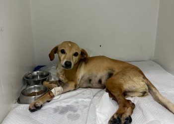 SnapInsta.to 642059715 18540159748064892 1237034098899893872 N 640