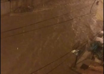 WhatsApp Image 2026 02 06 At 09.12.14