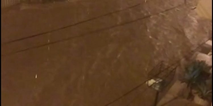 WhatsApp Image 2026 02 06 At 09.12.14