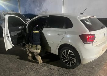 WhatsApp Image 2026 02 12 At 08.36.03