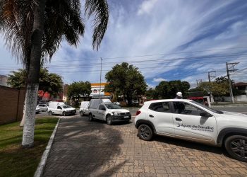 WhatsApp Image 2026 02 12 At 08.46.18