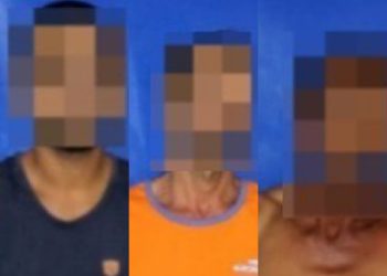 WhatsApp Image 2026 02 26 At 11.32.11