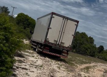 Caminhao Recuperado 2