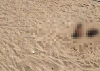 D198b9c3 57af 48b9 B3b3 52ac0ccda0fb