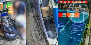 Montagem Mulher Morre Vitima De Intoxicacao Em Piscina Na Zona Leste