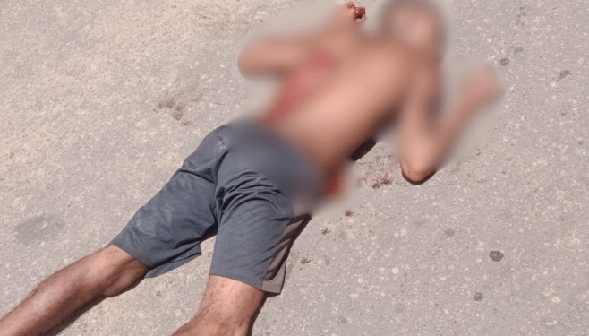 15951 Design Sem Nome 1 Png