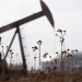 2026 02 13t170953z 323745412 Rc23xcapl0a5 Rtrmadp 3 Usa Trump Climate Industry