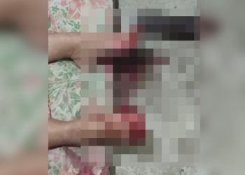 WhatsApp Image 2026 03 02 At 17.09.41