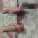 WhatsApp Image 2026 03 02 At 17.09.41