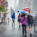 Dias De Chuva