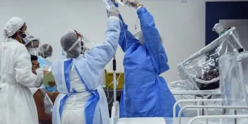 Enfermagem   Ingrid Anne   Prefeitura De Manaus