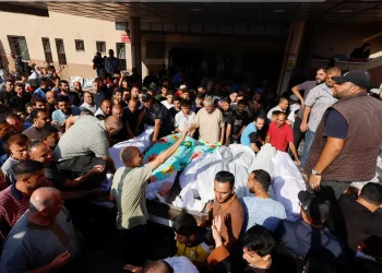 2023 11 03t070956z 308868669 Rc2i54ascxj5 Rtrmadp 3 Israel Palestinians
