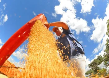 Colheita De Soja Foto Alvaro Rezende 3 730x480govcg