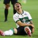 Crepaldi Braco Quebrado Coritiba Paranaense