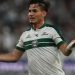 Lavega Coritiba Importancia Especial