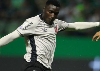 Viveros Palmeiras Athletico