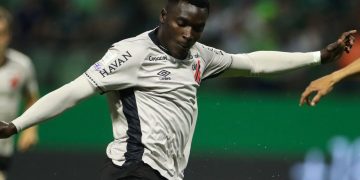 Viveros Palmeiras Athletico