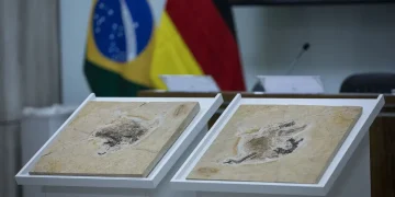 Ja 0136