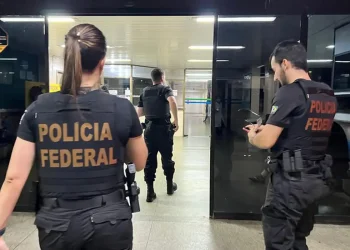 913cf2fe C13e 44fc 8185 0dc973e73082