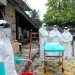 928154 Ebola 7