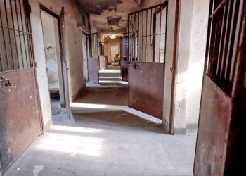 Alas Do Antigo Hospital De Custodia E Tratamento Psiquiatrico Heitor Carrilho 1