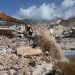 2026 07 02t011026z 95612200 Rc275maoetx8 Rtrmadp 3 Venezuela Quake