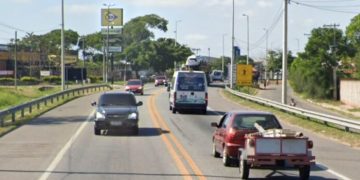 IMG 4884