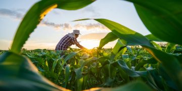 Adobestock 621171608
